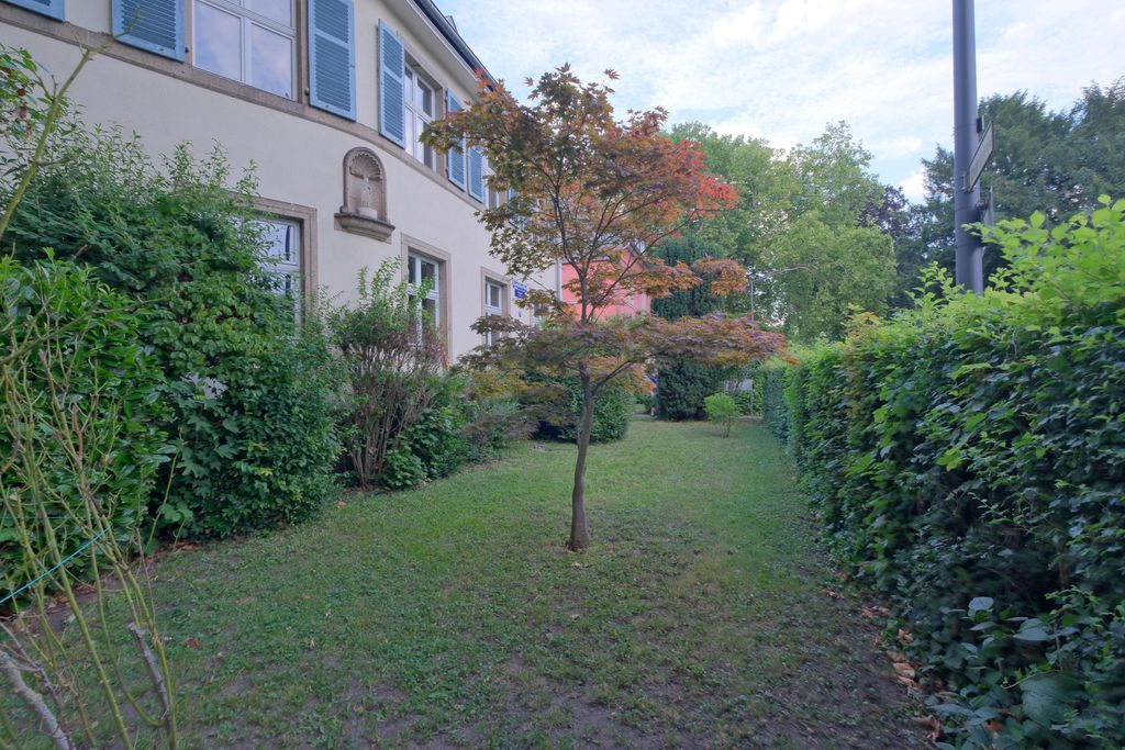 Ein kleiner Baum mit herbstlich gefärbten Blättern in einem Garten zwischen Büschen und einer Hausfassade mit blauen Fensterläden.