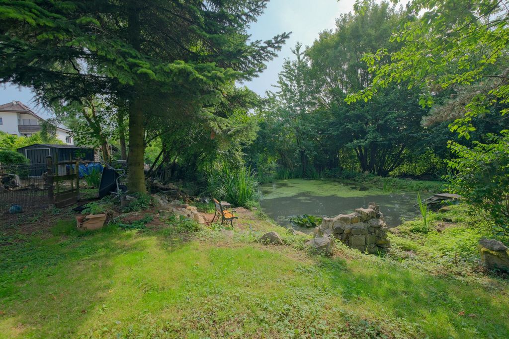 Grüner Garten mit Teich, umgeben von Bäumen und Büschen, mit einer einzelnen Bank am Ufer und Gartenutensilien links.