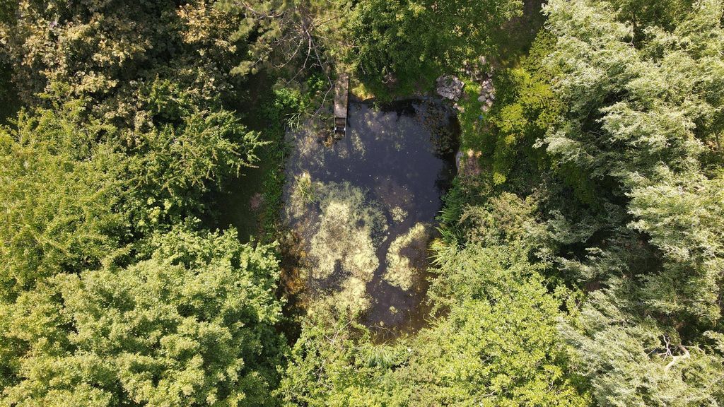 Luftaufnahme eines kleinen Teichs, umgeben von dichtem, grünem Laubwald.