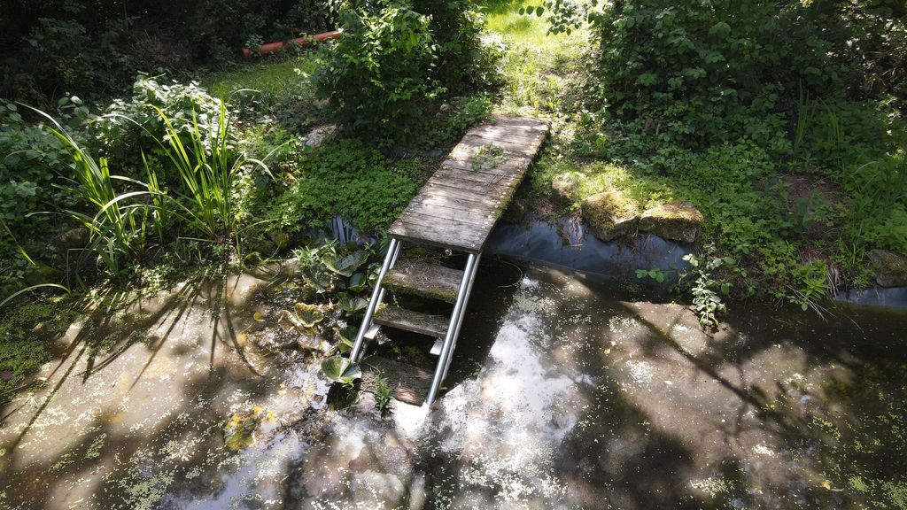 Eine kleine hölzerne Brücke mit Metallgeländern, die über einen Teich in einem bewachsenen Garten führt.