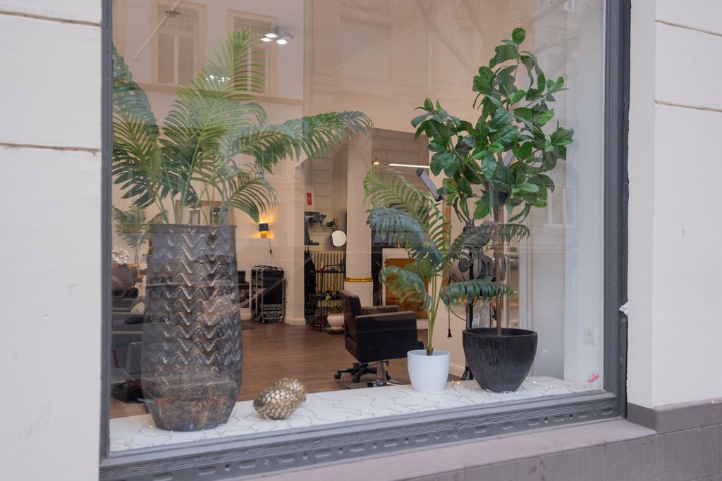 Blick durch das Schaufenster eines Salons mit zwei großen Pflanzen in Töpfen auf der Fensterbank und einem Friseurstuhl im Hintergrund.