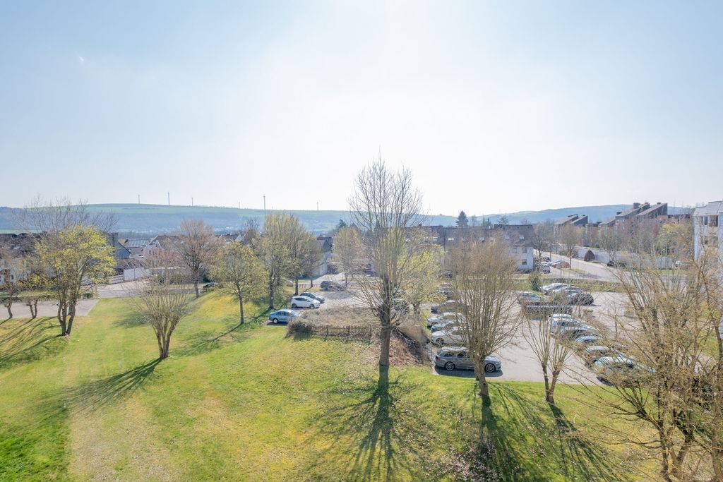Blick über eine Parkfläche mit vereinzelten Bäumen und einem angrenzenden Parkplatz in einem Wohngebiet an einem sonnigen Tag.